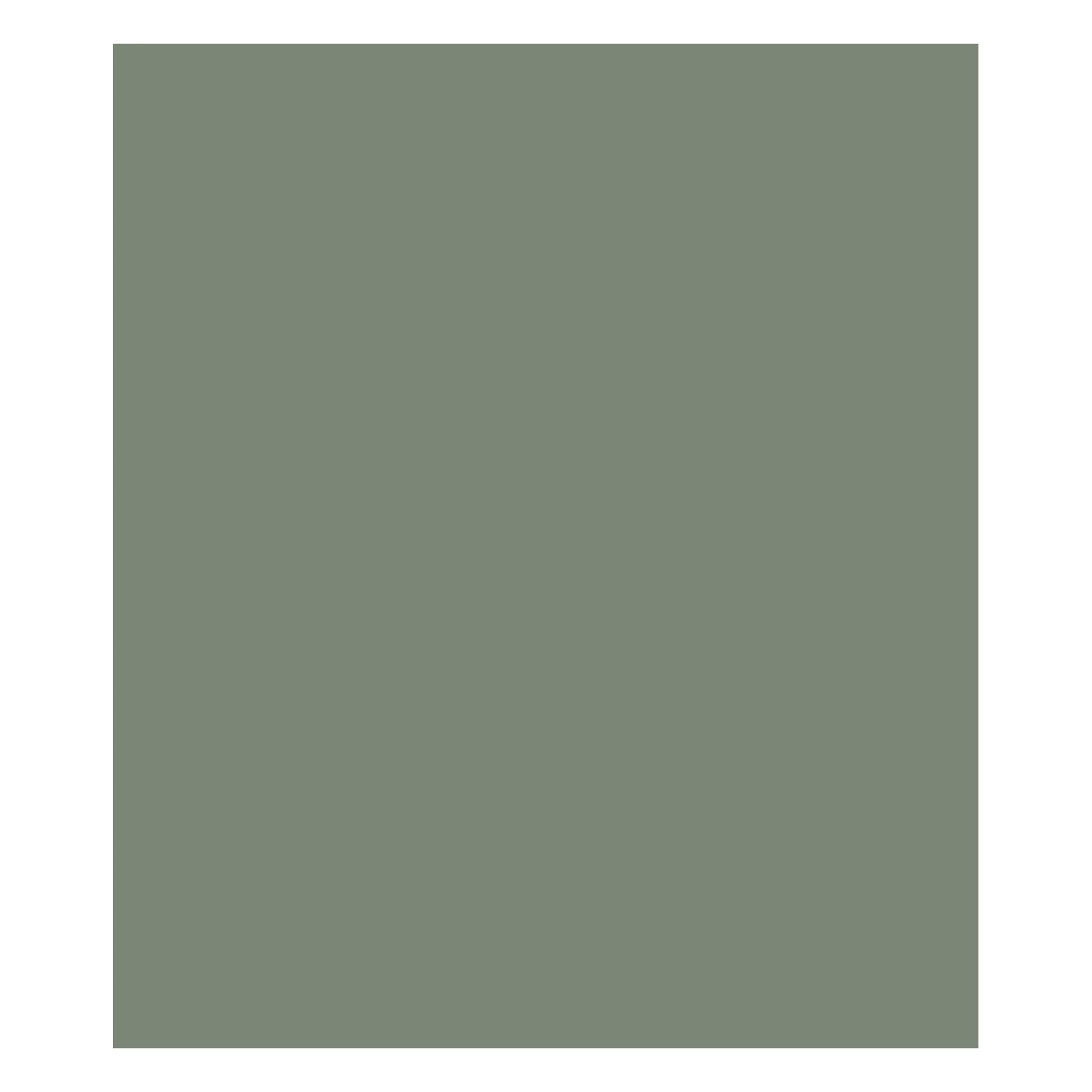 Fórmica Erva Doce – PP 3735 – 3,08×1,25m x 0,8mm