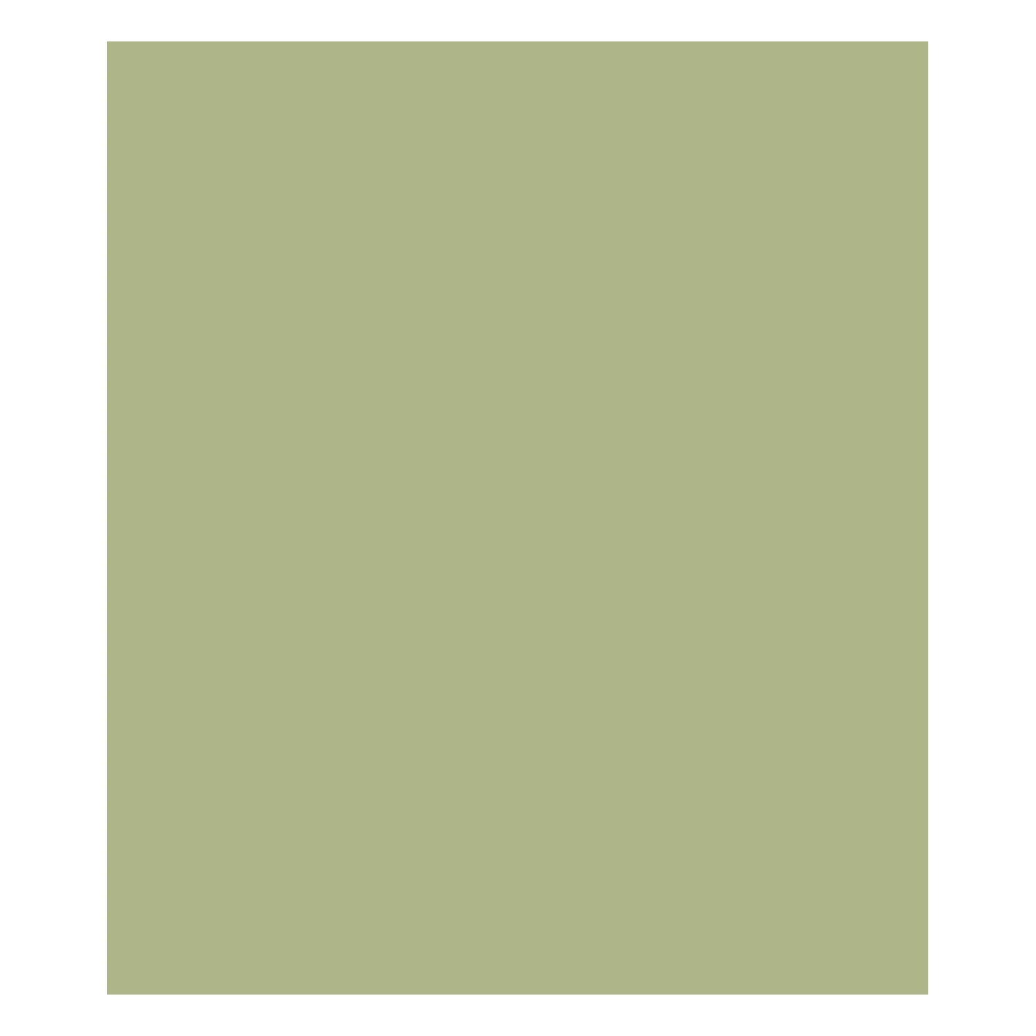 Fórmica Herbal – PP 2274 – 3,08×1,25m x 0,8mm