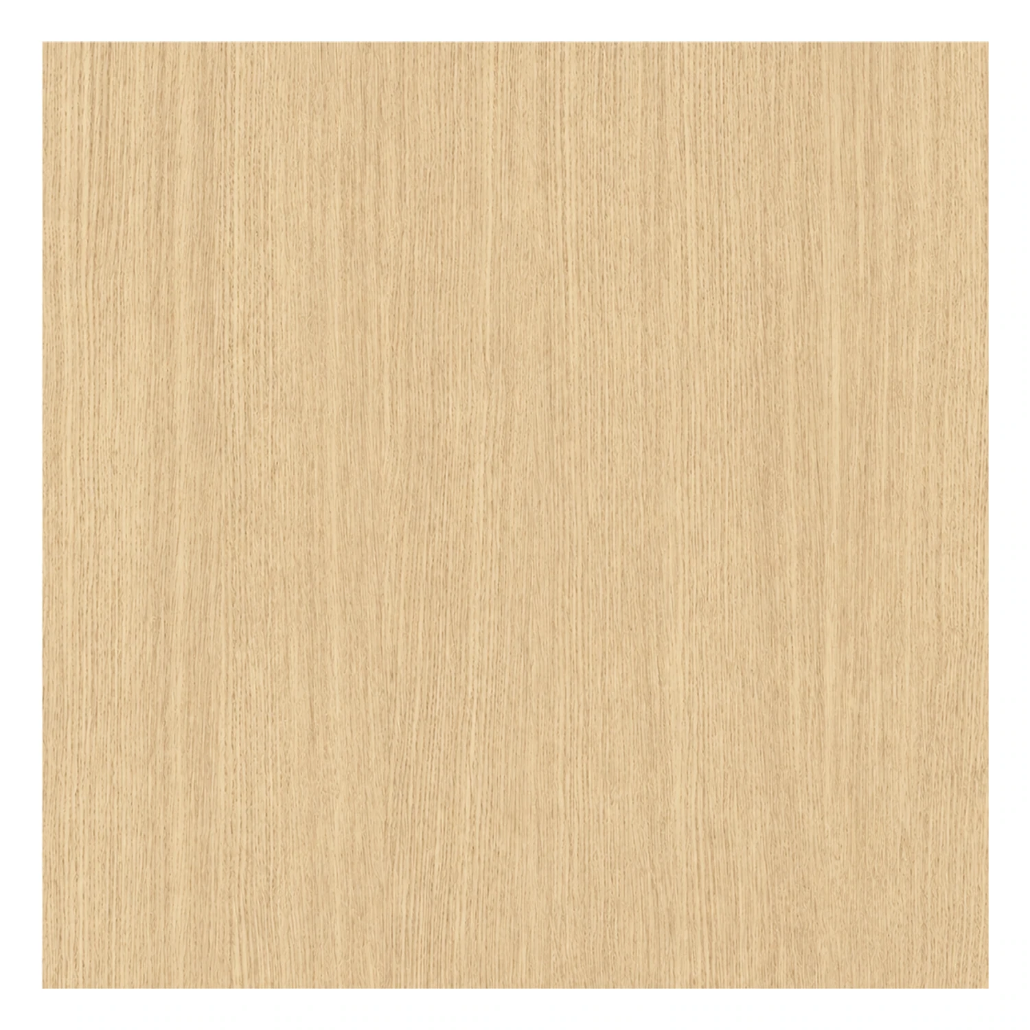 Fórmica Carvalho Linheiro – PP 7923 – 3,08×1,25m x 0,8mm